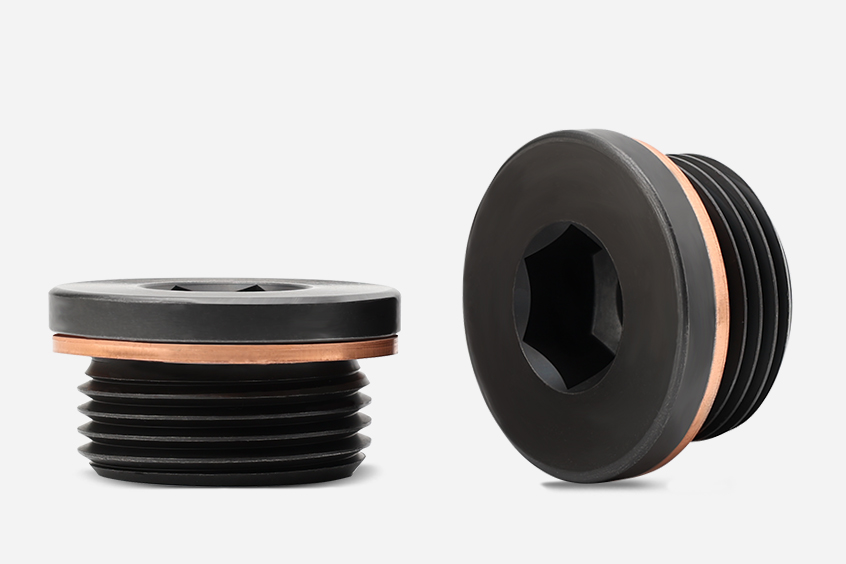 Hexagon Socket Throttle Plug with Sealing Washer Assembly