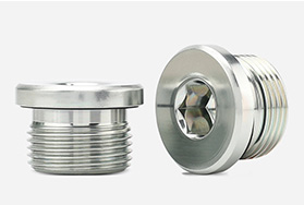 Hexagon Socket Flange Plug with ED Sealing Ring