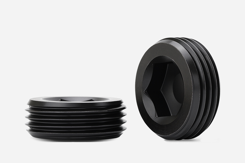 55° Non-Sealing Pipe Thread Hexagon Socket Plug